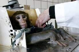Buchanan Bill Ends Mandatory Animal Experiments at FDA