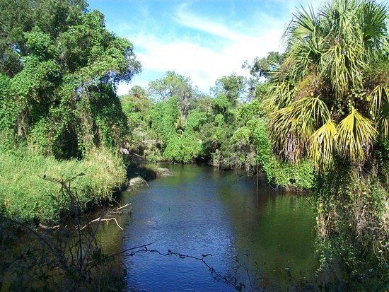 Buchanan Bill to Protect Little Manatee River Passes U.S. House