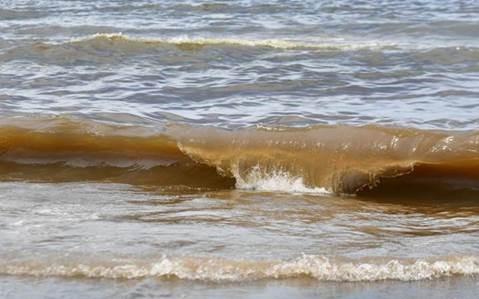 As Red Tide Resurfaces, Buchanan Co-Sponsors Forecasting Bill