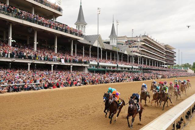 Buchanan, Blumenauer Praise New Safety Measures, Investigation into Mysterious Racehorse Deaths